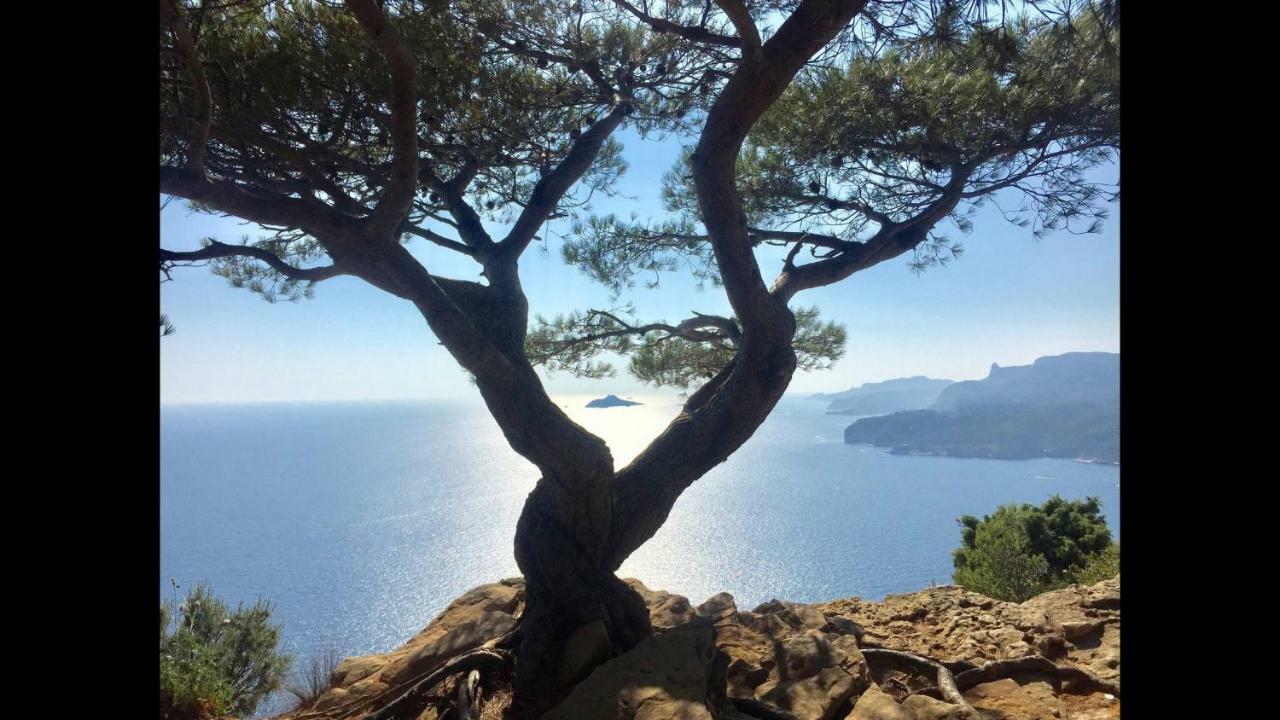 Appart Port Cassis Village Parking Exteriör bild